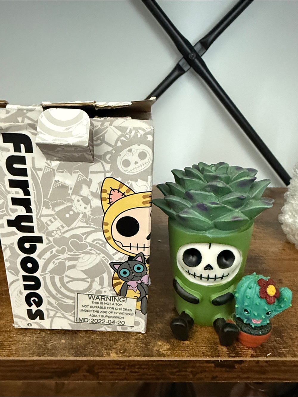 Furry Bones Green Skull Succulent Figurine with Cactus Companion